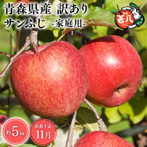 11月発送　訳あり　家庭用　甚八りんごサンふじ５kg　【マルジンサンアップル　月　青森県産　平川市　りんご　サンふじ　5kg　訳あり　家庭用】 2749848 - 青森県平川市