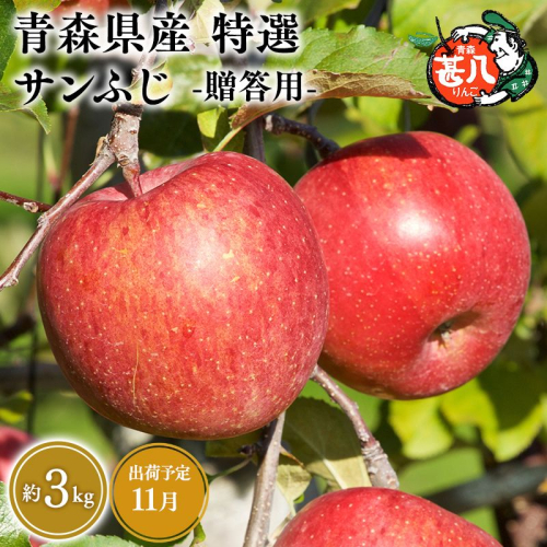 11月発送　特選　甚八りんごサンふじ３kg　【マルジンサンアップル　11月　青森県産　平川市　りんご　サンふじ　3kg　特選　贈答用】 2749866 - 青森県平川市