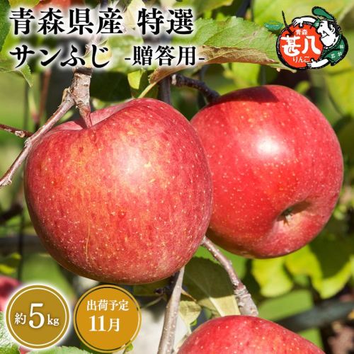 11月発送　特選　甚八りんごサンふじ5kg　【マルジンサンアップル　11月　青森県産　平川市　りんご　サンふじ　5kg　特選　贈答用】 2749871 - 青森県平川市