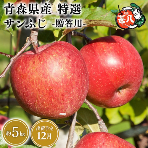 12月発送　特選　甚八りんごサンふじ5kg　【マルジンサンアップル　12月　青森県産　平川市　りんご　サンふじ　5kg　特選　贈答用】 2749872 - 青森県平川市