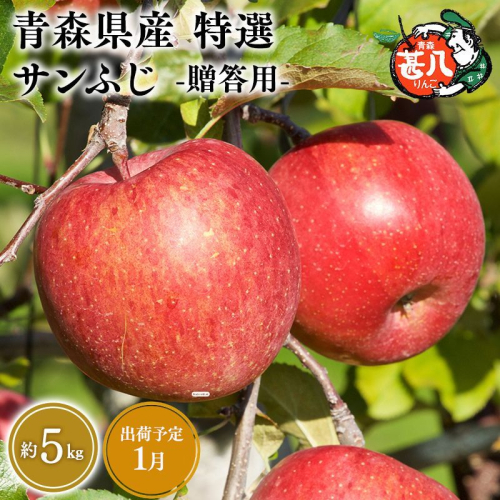 1月発送　特選　甚八りんごサンふじ5kg　【マルジンサンアップル　1月　青森県産　平川市　りんご　サンふじ　5kg　特選　贈答用】 2749873 - 青森県平川市