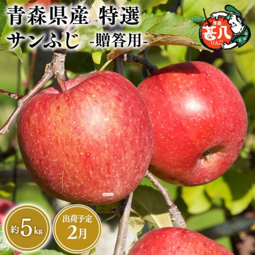2月発送　特選　甚八りんごサンふじ5kg　【マルジンサンアップル　2月　青森県産　平川市　りんご　サンふじ　5kg　特選　贈答用】 2749874 - 青森県平川市