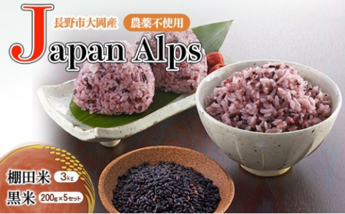 長野市大岡産農薬不使用Japan Alps棚田米3kg＆黒米200g×5セット 2749949 - 長野県長野市