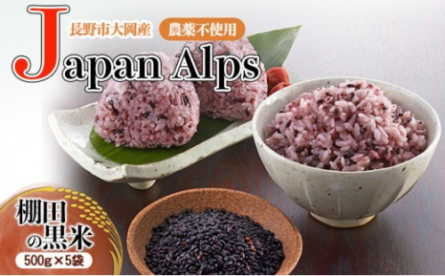 長野市大岡産農薬不使用Japan Alps棚田の紫黒米　500ｇ　5袋 2749951 - 長野県長野市