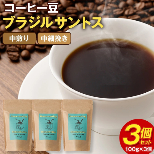 コーヒー豆 粉（ブラジル サントス 中煎り 中細挽き）100g × 3個セット 計300g | ミディアムロースト ギフトBOX付き コーヒー 珈琲 自家焙煎 ひなた珈琲 幸田町 送料無料 2749982 - 愛知県幸田町