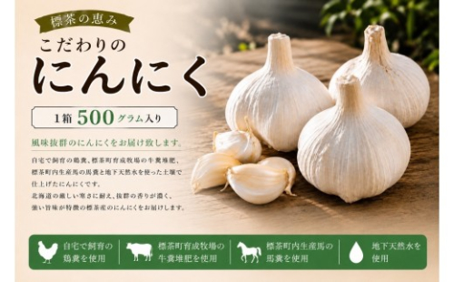 【2026年9月発送】標茶の恵み　こだわりのにんにく　１箱500グラム入り（Mサイズ約８～１０個） 2750001 - 北海道標茶町