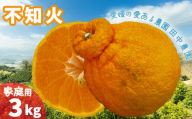 【2027年2月下旬頃から順次発送】不知火 しらぬい  約3kg  家庭用 でこぽんと同品種 愛媛産 愛媛県産 国産 愛媛みかん 愛媛蜜柑 愛媛ミカン みかん ミカン mikan 柑橘類 訳アリ ワケアリ 蜜柑 柑橘 フルーツ 果物 くだもの お取り寄せ 産地直送 数量限定 おすすめ 愛媛県 松山市 田中農園