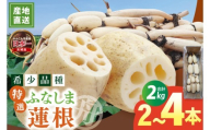 【年末配送】先行予約 れんこん 2kg 特選 ふなしま蓮根 蓮根 レンコン 朝採り 2本 ～ 4本 贈答用 熨斗 お歳暮 希少品種 幻 老舗 朝採れ 産地直送 新鮮 野菜 根菜 【2026年10月より順次発送】（82-02-a）