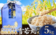 【令和8年産】 黒川まるいし農場の特別栽培米 雪若丸 玄米 5kg　山形県鶴岡市産　K-834　| ゆきわかまる 5キロ 米どころ 庄内米 ブランド米 コメ こめ ご飯 ごはん 美味しい お取り寄せ 農家直送 東北 国産 おすすめ 人気 返礼品 2026年産