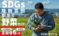 【定期便6ヶ月／毎月2回発送：合計12回発送】農家のおすそわけ（訳アリ）野菜便（お試し）　5~8種 【 農家 野菜詰め合わせ 野菜 詰め合わせ セット 訳あり 】季節 旬 野菜 詰め合せ 国産 季節 旬 おまかせ 産地直送 春野菜 夏野菜 秋野菜 葉物 根菜 冷蔵 ダイエット 食 栄養食 カット野菜 岩手県産 季節限定 送料無料 岩手県 陸前高田市 RT3405ｰ6-2