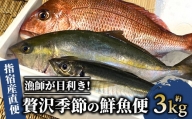 【指宿産直便】漁師が選ぶ季節の鮮魚便  贅沢セット(指宿山川水産/022-1092)