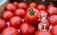赤さがリコピン満載の証！四万十産トマト「深紅」4㎏（1箱24～55玉） Fbg-006 トマト リコピン サラダ イタリアン 健康 美容 濃厚 大容量 新鮮