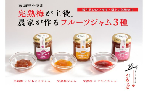 おおい町産完熟梅と地域の果実で作ったすっきり美味しいジャム3種セット 2754459 - 福井県おおい町