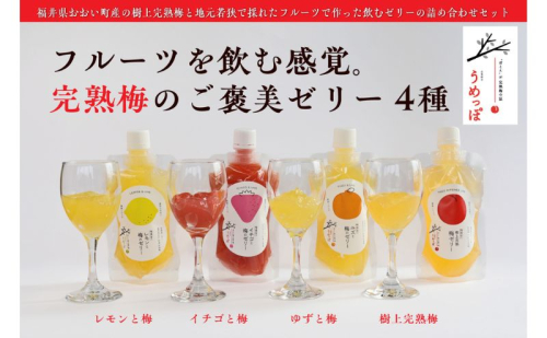 おおい町産希少梅の完熟梅と地域の果実で作ったゼリーセット4種（梅、いちご、柚子、レモン）9本入り 2754460 - 福井県おおい町