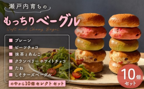 もっちり ベーグル 10個 セレクトセット プレーン ビーツチョコ 抹茶 あんこ クランベリーホワイトチョコ たね しそ チーズ べーぐる パン HUTTE ヒュッテ HUTTEトキドキパンヤサン かいじゅうとヒュッテ 瀬戸内市 岡山 2754883 - 岡山県瀬戸内市