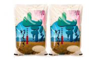 08-30-074　はえぬき定期便(5kg×2袋)12回お届け [令和8年産]