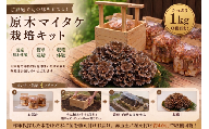 【先行予約】マイタケ 舞茸 まいたけ 栽培キット ほだ木 3本 家庭菜園 原木舞茸 希少 幻 肉厚 きのこ ステーキ 生まいたけ 生マイタケ だし 焼きまいたけ 炭火 鍋 焼肉 バーベキュー 味噌汁 スープ 野菜 新鮮 旬 食べ応え うまみ 獲れたて 原木 徳島県 三好市 みよし