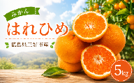 【 先行予約 】 みかん 5kg はれひめ 晴れ姫 蜜柑 柑橘 フルーツ 果物 オレンジ ジュース デザート おやつ ケーキ アイス 冷凍みかん シャーベット ゼリー スイーツ 晴姫 お菓子 ギフト 送料無料 徳島県 三好市 みよし 篠原農園