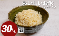 【 先行予約 】 米 令和8年産 新米 玄米 30kg ヒノヒカリ 1回 定期便 送料無料 こめ kome お米 okome ライス ご飯 ごはん おにぎり 白米 精米 ひのひかり ギフト 贈答 プレゼント グルメ 徳島県 三好市 みよし 篠原農園