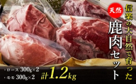 信楽の大自然で育った天然鹿肉セット(ロース300g×2・モモ300g×2) 計1.2kg | ジビエ 鹿肉 高タンパク 低脂質 ヘルシー 新鮮 滋賀県 甲賀市 L.Hunter