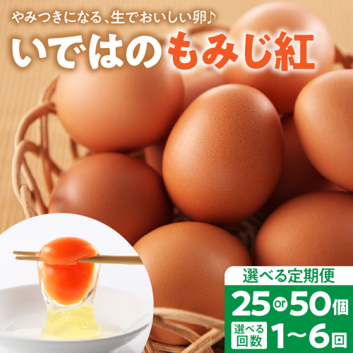 いではのもみじ紅 2756091 - 山形県河北町