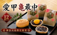 和菓子 幸月堂 愛甲 亀最中 12個入り 最中 お菓子 菓子 スイーツ お茶菓子 お茶請け 詰め合わせ もなか 栗最中 栗 神奈川県 厚木市 和菓子 幸月堂 KGD004