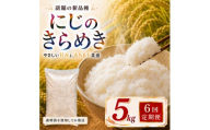 にじのきらめき 定期便 6回/5kg×1袋 令和8年産 新米 ブランド米 白米 精米 【小分け】 宮城県大河原町産