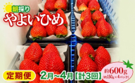 いちご やよいひめ 150gパック×4パック 計600g 計3回 定期便2月～4月 2026年全国いちご選手権入賞 2027年 先行予約  | コク 甘み 朝採れ イチゴ 苺 高品質 たっぷり 新鮮 完熟 旬 ストロベリー 高級 産地直送 果汁 甘い あまい 人気 高評価 高糖度 ごほうび プレゼント 朝採れ やよいひめ 贈答用 あすかファーム 群馬県 前橋市