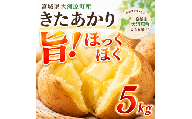 じゃがいも きたあかり 5kg 産地直送 農家直送 野菜 キタアカリ  甘い ホクホク ポテトサラダ コロッケ じゃがバター 常温 保存 備蓄 大容量 サイズ 不揃い 混合 家庭用 おうちごはん 送料無料　大河原町