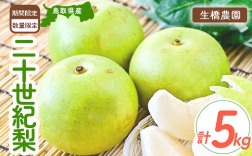 二十世紀梨【鳥取県産】5kg（生橋農園） 梨 鳥取 5kg 果物 フルーツ 和梨 先行予約 数量限定 詰め合わせ 二十世紀梨 20世紀梨