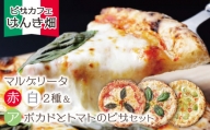 P24-20 げんき畑 ピザ 3枚セット＜(赤・白)＆アボカドとトマトのピザ＞