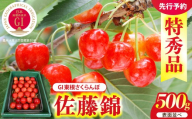 【2027年産】GI 東根さくらんぼ 佐藤錦 500g 表面並べ L以上 特秀品 山形県 東根市 ティスコファーム提供 hi089-007-r9 サクランボ フルーツ 果物 くだもの 加温 佐藤錦 期間限定 先行受付 化粧箱入り 冷蔵配送 グルメ ご当地 特産直送