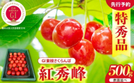 【2027年産】GI 東根さくらんぼ 紅秀峰 500g 表面並べ L以上 特秀品 山形県 東根市 ティスコファーム提供 hi089-008-r9 サクランボ フルーツ 果物 くだもの  紅秀峰 期間限定 先行受付 化粧箱入り 冷蔵配送 グルメ ご当地 特産直送