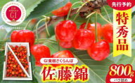 【2027年産】GI 東根さくらんぼ 佐藤錦 800g バラ詰め L以上 特秀品 山形県 東根市 ティスコファーム提供 hi089-010-r9 サクランボ フルーツ 果物 くだもの  佐藤錦 期間限定 先行受付 化粧箱入り 冷蔵配送 グルメ ご当地 特産直送
