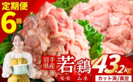 【定期便6ヶ月】 若鶏 もも×むねセット 計43.2kg カット済 小分け 真空 冷凍 鶏肉 もも肉 むね肉 鶏肉 唐揚げ カレー シチュー 照り焼き 炒め物 若鶏 チキン南蛮 鶏肉 若どり とり肉 もも肉300g むね肉300g chicken toriniku 定期便 おかず 晩ごはん ごはんのお供 鶏肉 若鶏 岩手県 盛岡市 東北 岩手 盛岡 肉の横沢 yoko006t6
