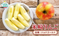 [先行予約] 旬のりんごをお届け! 米崎りんご 品種:ジョナゴールド 約2.5kg [ 数量限定 りんご リンゴ 林檎 産地直送 新鮮 岩手 陸前高田 マルキヨファーム ] RT3407-2.5