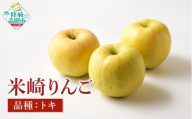 [先行予約] 旬のりんごをお届け! 米崎りんご 品種:トキ 約2.5kg [ 数量限定 りんご リンゴ 林檎 産地直送 新鮮 岩手 陸前高田 マルキヨファーム ] RT3408-2.5