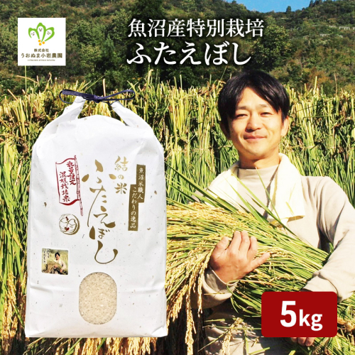 令和8年産 先行予約　魚沼産特別栽培ふたえぼし 精米5kg 米 こめ お米 コメ ふたえぼし 新潟県 魚沼市 魚沼 特別栽培米  2759573 - 新潟県魚沼市