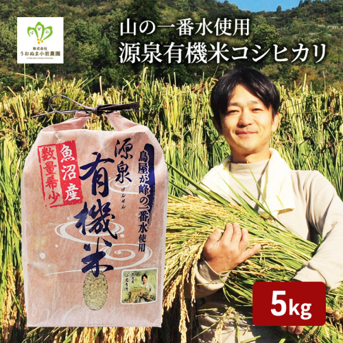 令和8年産 先行予約 山の一番水使用 源泉有機米コシヒカリ 精米5kg 米 こめ お米 コメ こしひかり 新潟県 魚沼市 魚沼 魚沼産  2759574 - 新潟県魚沼市