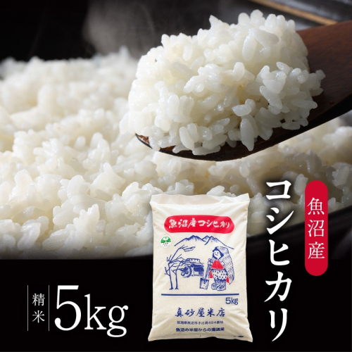 【先行予約】令和8年産 真砂屋厳選 魚沼産コシヒカリ（精米）5kg お米 コメ こしひかり 新潟県 魚沼市 魚沼 2759577 - 新潟県魚沼市