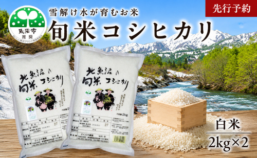 【先行予約 令和8年産】魚沼の旬米 コシヒカリ 【精米】2kg×2 お米 2759582 - 新潟県魚沼市