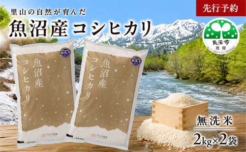 【先行予約 令和8年産】さくらや農園 魚沼産コシヒカリ 無洗米2kg×2 お米  2759583 - 新潟県魚沼市