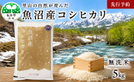 【先行予約 令和8年産】さくらや農園 魚沼産コシヒカリ 無洗米5kg お米