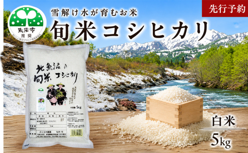 【先行予約 令和8年産】魚沼産 コシヒカリ 魚沼の旬米コシヒカリ 精米 5kg お米 2759586 - 新潟県魚沼市