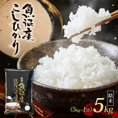 【令和8年産 先行予約】 魚沼産コシヒカリ 精米 5kg（5kg×1） 2759610 - 新潟県魚沼市