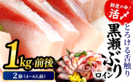 ＜2026年9月発送分＞活じめ！黒瀬ぶりの生鮮ブリロイン2節（1.0kg前後） 刺身 海鮮 海産物 魚 水産物 海鮮丼 ぶりしゃぶ 生食 冷蔵 しゃぶしゃぶ 国産 ブリ 贈答用 おすそ分け お刺身 食品 お歳暮 ぶり大根 鮮魚 人気_K001-012-2609