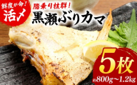 <2026年9月発送>活じめ！黒瀬ぶりカマ（5枚入）（800g～1.2kg前後） ぶり カマ ぶりかま 国産 おすすめ 海鮮 特産品 お取り寄せ グルメ ギフト 塩焼き 煮付け 黒瀬ぶり 家庭用 おかず 魚_K001-015-2609