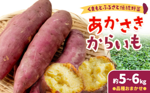 あかさきからいも 約5kgから6kg 品種おまかせ わらく農園《11月中旬-11月下旬頃出荷》熊本県 葦北郡 津奈木町 さつまいも サツマイモ からいも くまもとふるさと伝統野菜 2760194 - 熊本県津奈木町