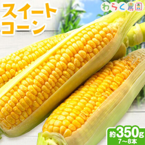 【先行予約】スイートコーン 7～8本 350g前後 わらく農園《2027年6月上旬-6月末頃出荷》熊本県 葦北郡 津奈木町 とうもろこし コーン 送料無料 2760195 - 熊本県津奈木町