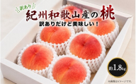 【ご家庭用訳あり】紀州和歌山産の桃　約1.8kg【2027年7月中旬頃～8月中旬頃順次発送予定】/ もも くだもの フルーツ 【uot873】